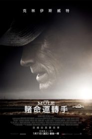 賭命運轉手