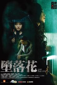 墮落花