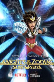 十二宮騎士：聖鬥士星矢