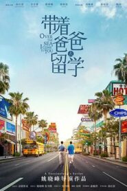 帶着爸爸去留學