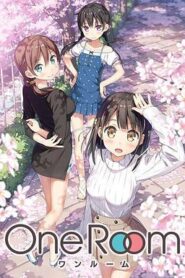 One Room第一季