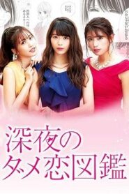 深夜的奇葩戀愛圖鑑