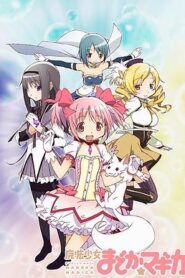 魔法少女小圓