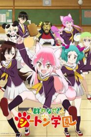 成群結伴！西頓學園