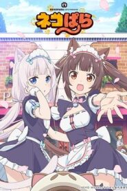 貓娘樂園