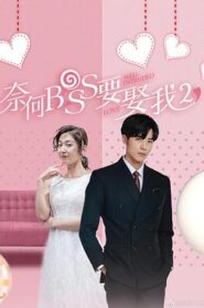 奈何boss要娶我2