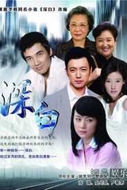 再婚進行時