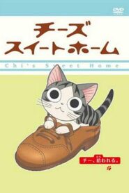 甜甜私房貓