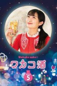 和歌子酒第五季