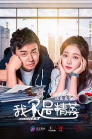 我不是精英TV版