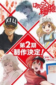 工作細胞!!第二季
