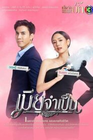 非婚不可