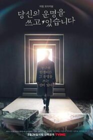 正在書寫你的命運