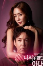 我的危險妻子
