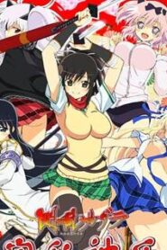 閃亂神樂