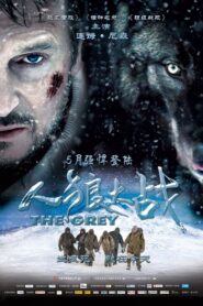 即刻獵殺/極地戰狼