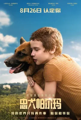 忠犬帕爾瑪