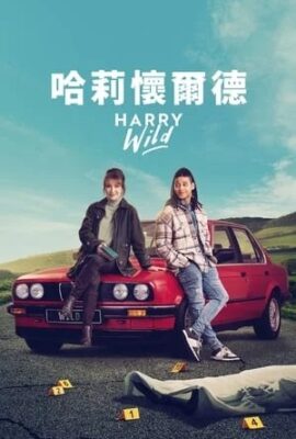 哈莉懷爾德
