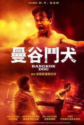 曼谷鬥犬