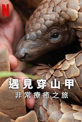 遇見穿山甲：非常療癒之旅
