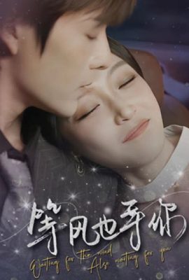 等風也等你