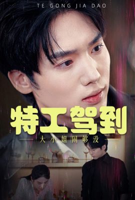 特工駕到大小姐鬧夠沒